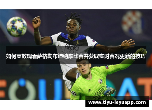 如何高效观看萨格勒布迪纳摩比赛并获取实时赛况更新的技巧