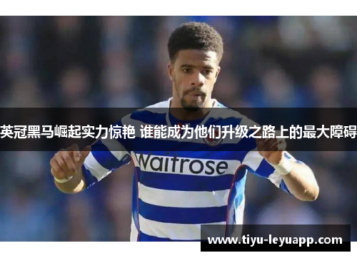 英冠黑马崛起实力惊艳 谁能成为他们升级之路上的最大障碍