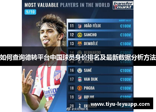 如何查询德转平台中国球员身价排名及最新数据分析方法