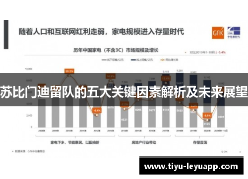 苏比门迪留队的五大关键因素解析及未来展望