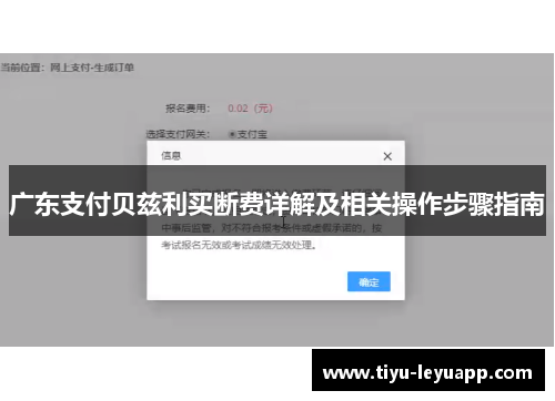 广东支付贝兹利买断费详解及相关操作步骤指南