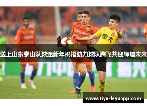 送上山东泰山队球迷新年祝福助力球队腾飞共迎辉煌未来