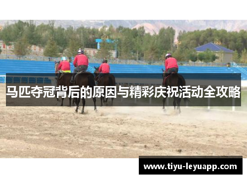 马匹夺冠背后的原因与精彩庆祝活动全攻略