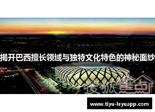 揭开巴西擅长领域与独特文化特色的神秘面纱