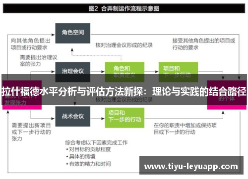 拉什福德水平分析与评估方法新探：理论与实践的结合路径