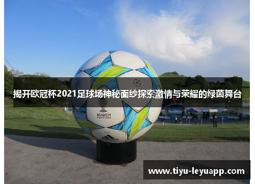 揭开欧冠杯2021足球场神秘面纱探索激情与荣耀的绿茵舞台